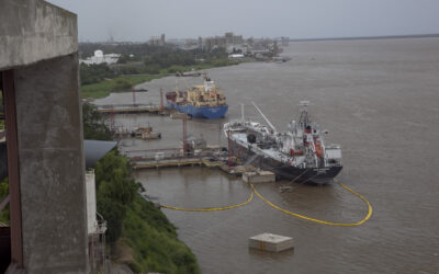 Se abrieron 32 mercados y las exportaciones agroindustriales crecieron un 11% en volumen