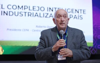 El aporte a la industrialización: el maíz  está en todos lados (y puede estar en más aún)