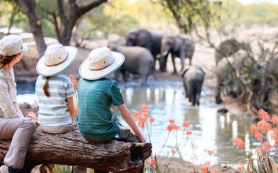 Buenos destinos para viajar con niños