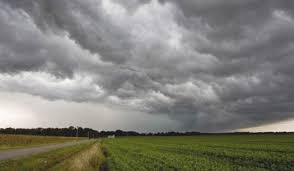 Prevén temperaturas sobre lo normal seguidas por lluvias abundantes sobre la mayor parte del área agrícola
