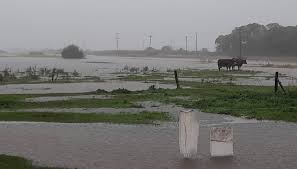 No para de llover, parte de la Pampa Húmeda está bajo el agua y Caputo quiere saber cuánta soja no se ahogó