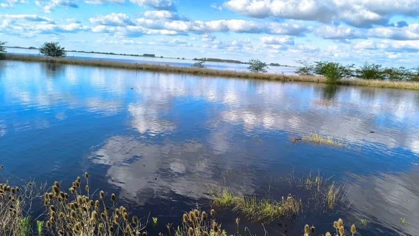 Buenos Aires, bajo el agua: la tragedia que cuesta millones de dólares