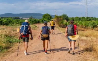 El Camino de Santiago te espera