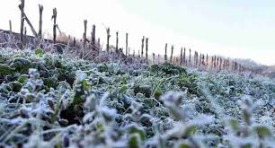 El invierno se afianza con heladas y precipitaciones escasas