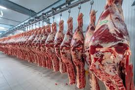 Exportaciones vacunas: Ligera recuperación de valores y precios durante abril, aunque con un balance todavía negativo en lo que va del año