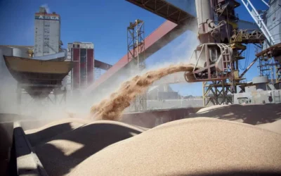 ¿Cuántos dólares liquidó el campo en mayo?