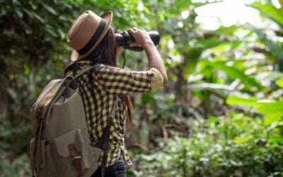 Gualeguaychú, destino internacional para el turismo de conservación y avistamiento de aves