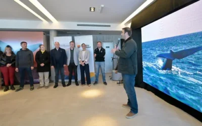 Comenzó la temporada de Ballenas en Chubut: 6 empresas brindarán el servicio