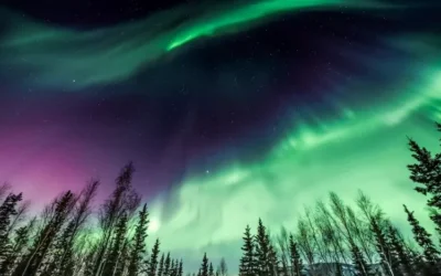 ¿Auroras australes? Las luces del Norte ahora podrían verse en la Patagonia