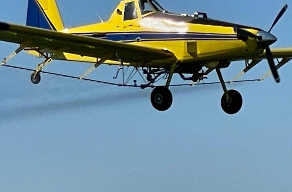 ¿Sabías que con el avión agrícola se puede erradicar el dengue?