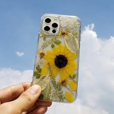 Desarrollan el primer modelo de inteligencia artificial para monitorear el girasol