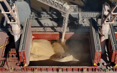 ¿A dónde va la harina de soja?