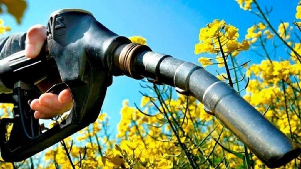 Energía fijó nuevos precios mínimos para el bioetanol para junio de 2025