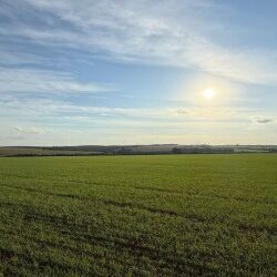 Syngenta lanza REVERTE®, su programa de regeneración de suelos, en Paraguay