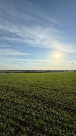 Syngenta lanza REVERTE®, su programa de regeneración de suelos, en Paraguay