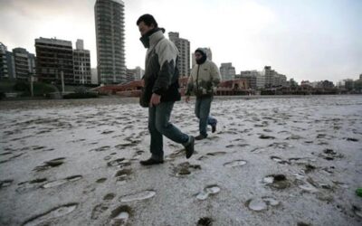 Mar del Plata: comunicado ante la muerte de una persona en situación de calle