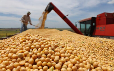 Por la baja permanente de retenciones, el agro proyecta un 8% más de producción y 28.800 millones de dólares extra a 10 años