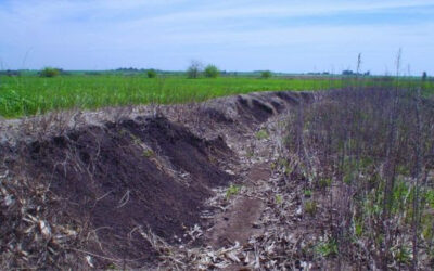 La sistematización de los suelos reduce hasta un 70 % las pérdidas