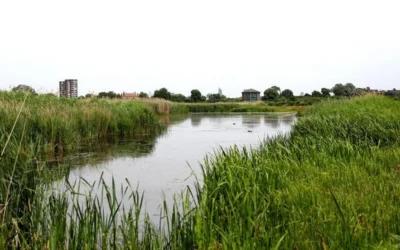 Inglaterra se enfrenta a un déficit de agua “de importancia nacional”