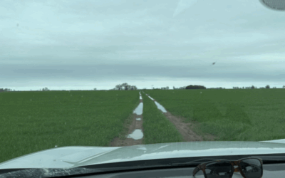 Más de diez provincias están todavía bajo alerta por lluvias y tormentas en el día de la primavera