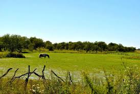 Iniciaron los trabajos de conservación en Laguna Grande, Entre Ríos