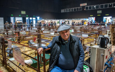 Edgardo Cardozo, 63 años criando ovejas, 4 décadas participando de Palermo y una nieta