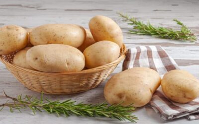 Un estudio desvela el enigmático origen de la papa: surgió a partir de un ancestro del tomate