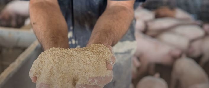 Sigue creciendo el consumo mundial de harina de soja y también la competencia entre los tres principales exportadores