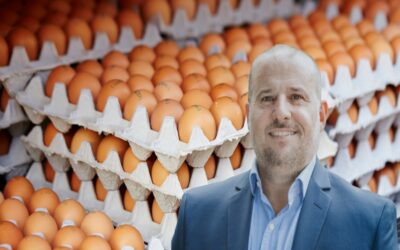 El consumo de huevos per cápita alcanzó un récord histórico  en nuestro país: más de uno por día, per cápita