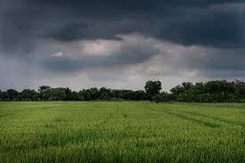 La primavera astronómica llega con precipitaciones de variada intensidad
