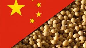 China rompe récord de importaciones de soja