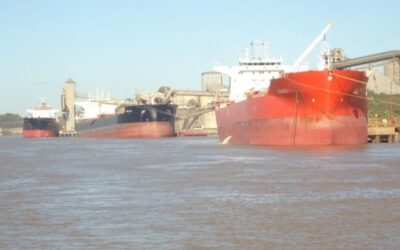 Impacto de la baja de DEX entre los principales productos agro