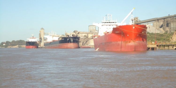 Agosto histórico para los embarques de trigo