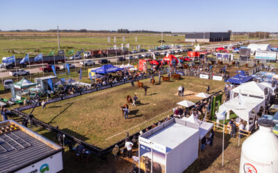 Vuelve la Semana Angus de Primavera con predio renovado
