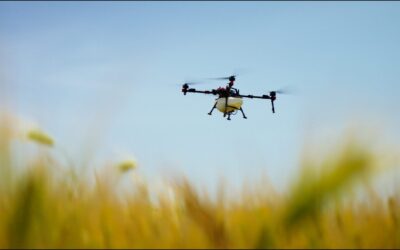 Los drones XAG-P150 revolucionan la ganadería: más forraje, menos costos y mayor sustentabilidad