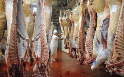 Regresa la barrera sanitaria: una cautelar suspende por un mes el ingreso de carne con hueso a la Patagonia