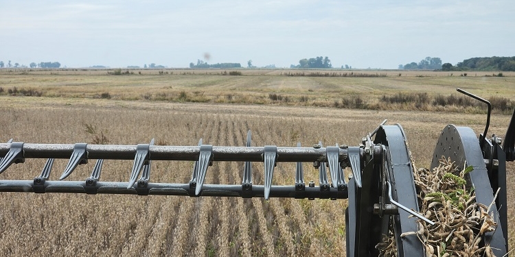 El área de soja argentina caería 4,3% en 2025/26, pero tiene alguna oportunidad de recuperación en Buenos Aires