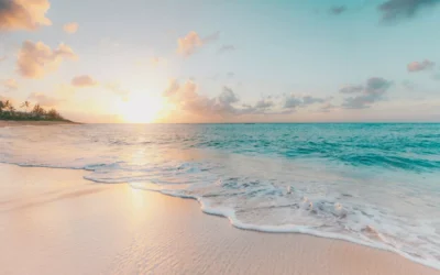Playa del Carmen: tu gran viaje al caribe mexicano