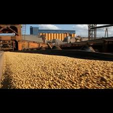 Impacto de la eliminación temporal de retenciones al agro ¿Cómo queda el panorama comercial luego del cierre?