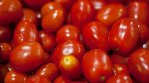 Argentina actualizó su reglamento sobre calidad e identidad del tomate en línea con el Mercosur