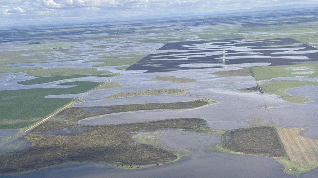 Las inundaciones en Buenos Aires dejaron más de 2 millones de hectáreas afectadas y grandes pérdidas