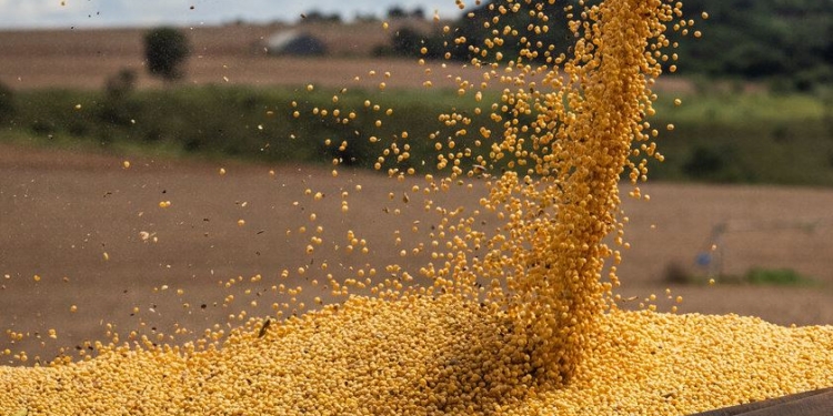 Las ventas de soja siguen en niveles normales para la época y se mantienen al margen de los ruidos cambiarios