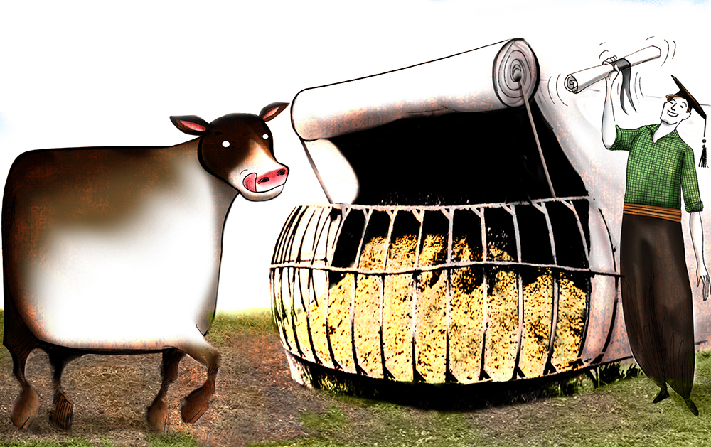 Se puede manejar el autoconsumo en forma profesional?