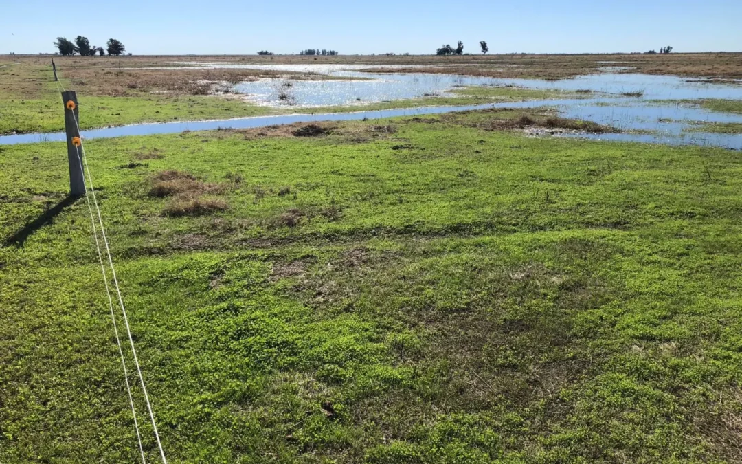 El INTA suma mapas de excedentes hídricos a la plataforma SEPA