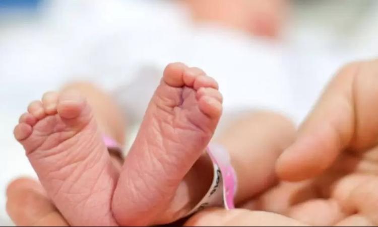 Argentina se está despoblando: cae la natalidad a niveles históricos