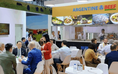 IPCVA: La carne argentina va por más en China