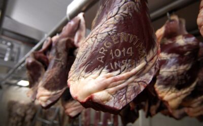 Estados Unidos cuadriplicó la cuota de compra de carne vacuna argentina