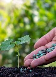 Fertilizar: Celebramos la ciencia que alimenta al mundo