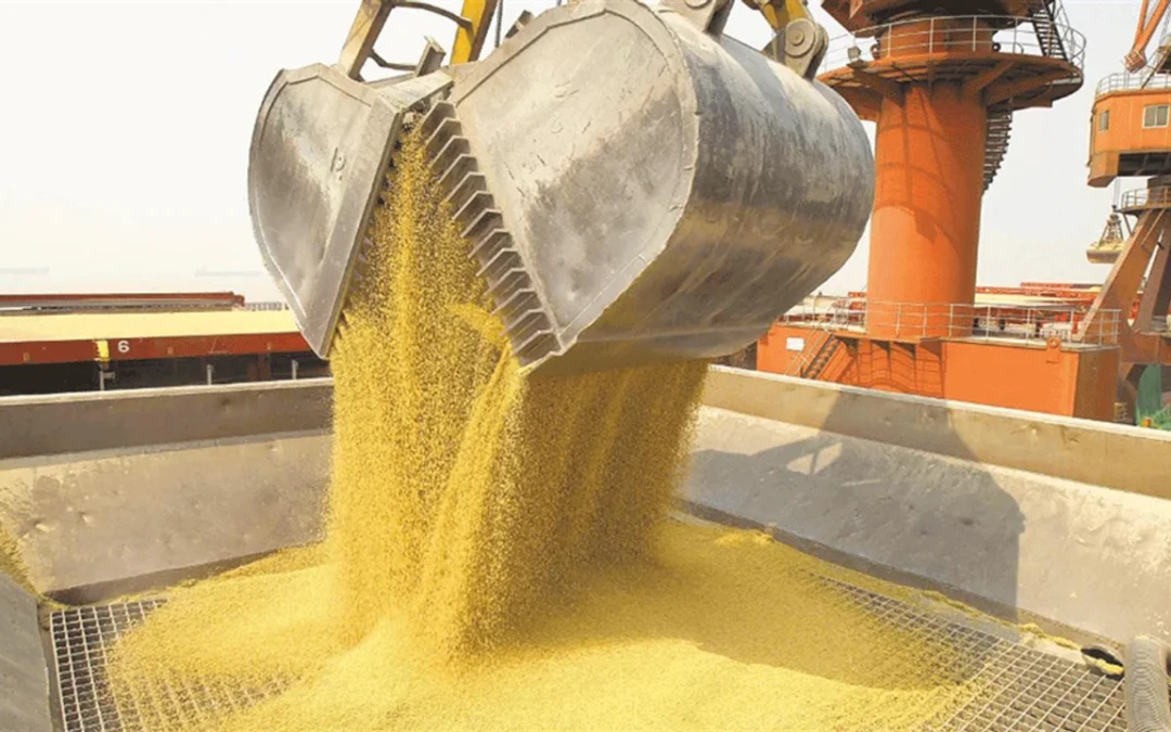 Récord histórico: el agro liquidó US$ 7.100 millones en septiembre
