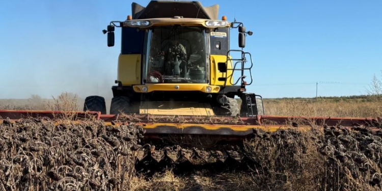 Qué impacto tuvo el régimen de suspensión temporaria de derechos de exportación en los precios del girasol?